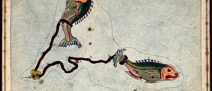 Horoskop Jahres-Vorschau für 2017 – Sternzeichen Fische Sternzeichen Fische