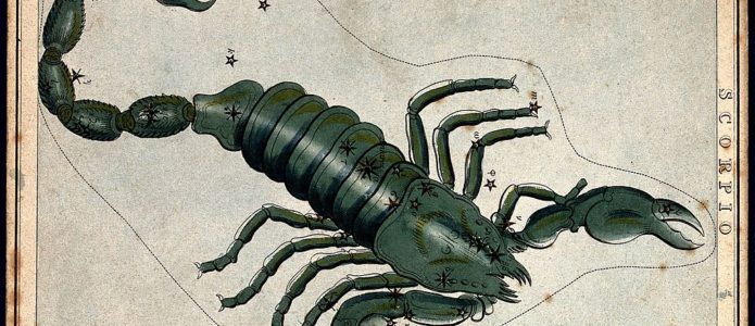 Horoskop Jahres-Vorschau für 2017 – SKORPION Photo Iconographic Collections