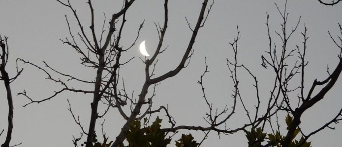 Der NEUMOND im JANUAR 2018 – Bittersweet Love Neumond in Adelaide, Australien, Photo by Michael Coghlan
