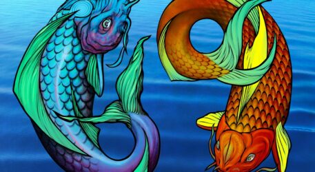 Phönix aus der Asche – Die FISCHE in 2026