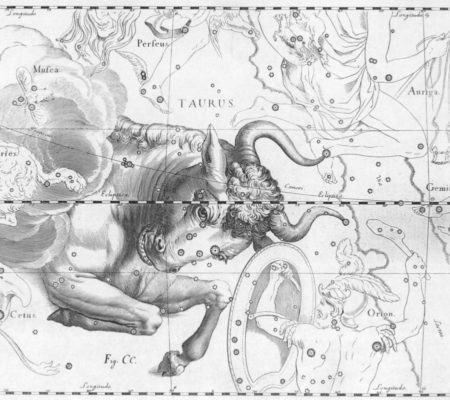 Horoskop 2018 für die Stiere
