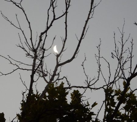 NEUMOND am 30. August 2019 – Lang ersehnter NEUSTART Neumond