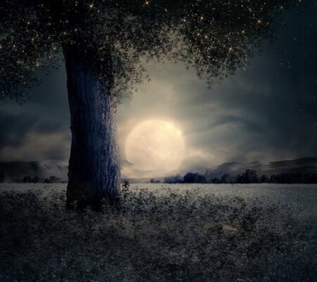 VOLLMOND im STEINBOCK am 24. Juni 2021 – Karmischer Tanz Vollmond