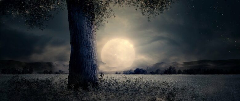 VOLLMOND im STEINBOCK am 24. Juni 2021 – Karmischer Tanz Vollmond