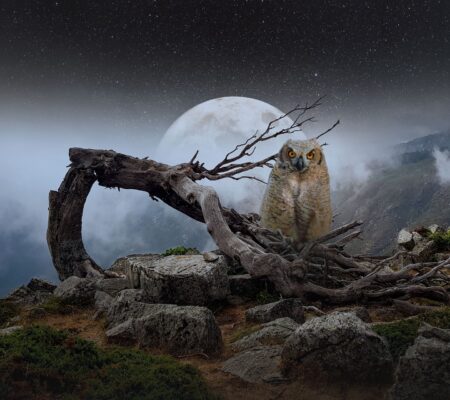 Vollmond im Dezember 2021 – Liebe und Geld Vollmond