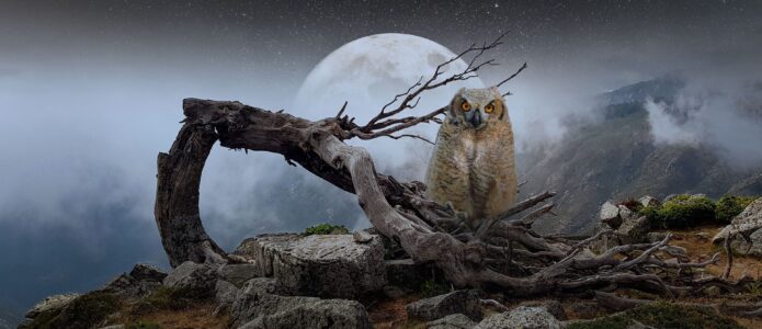 Vollmond im Dezember 2021 – Liebe und Geld Vollmond